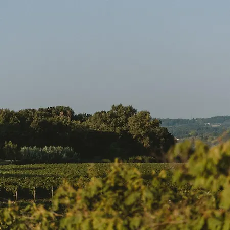 Corte Pravecchio Bed & Breakfast